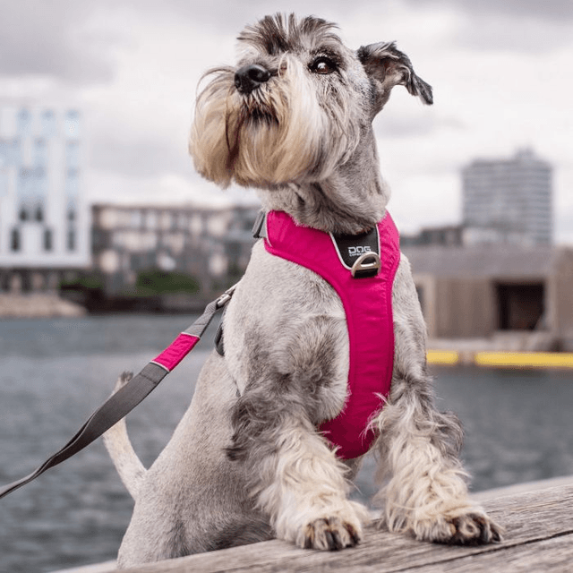 Dog Copenhagen - Comfort Walk Pro - Pink