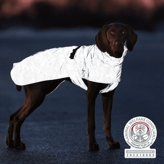 Trixie Luna Reflective Rain Jacket
